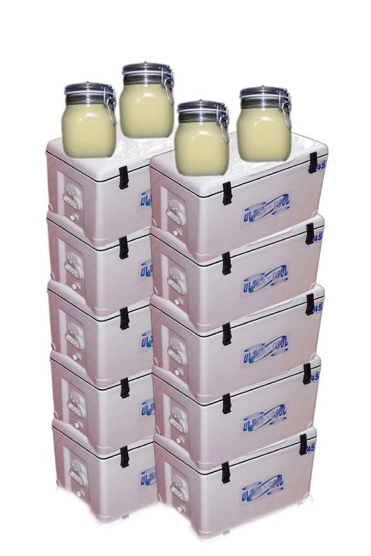 Fresh Royal Jelly