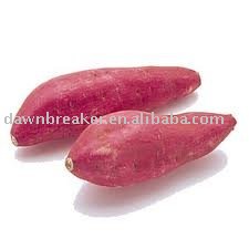 china fresh purple sweet potatoes