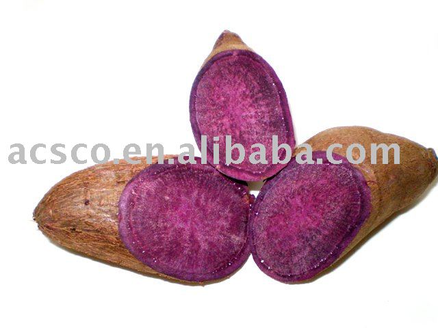Chinese Purple Yam