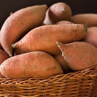 Fresh sweet potato