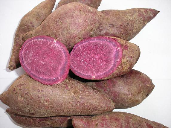 purple sweet potatoes,Vietnam price supplier - 21food