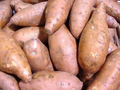 Fresh Sweet Potatoes