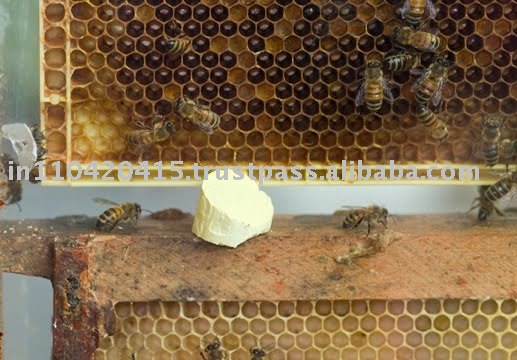 Wooden Frames for Bees