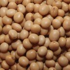 Soybeans