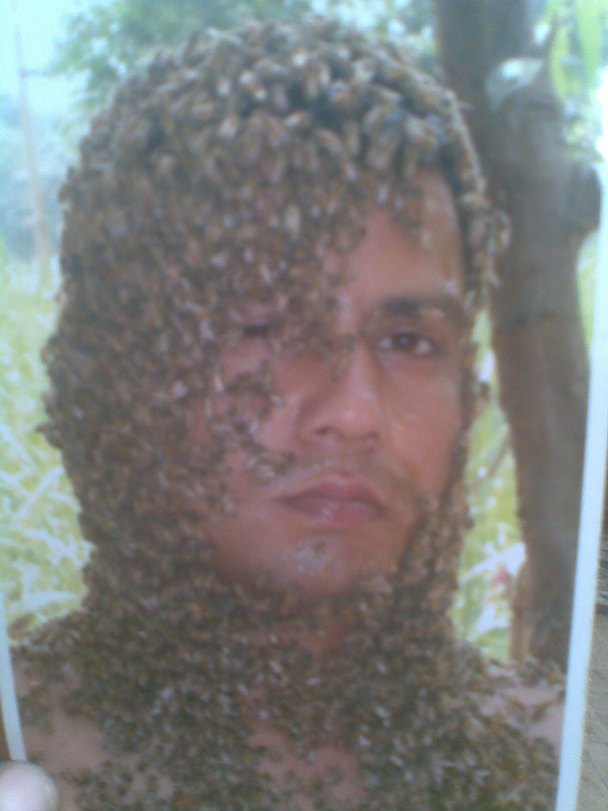sunnat honey
