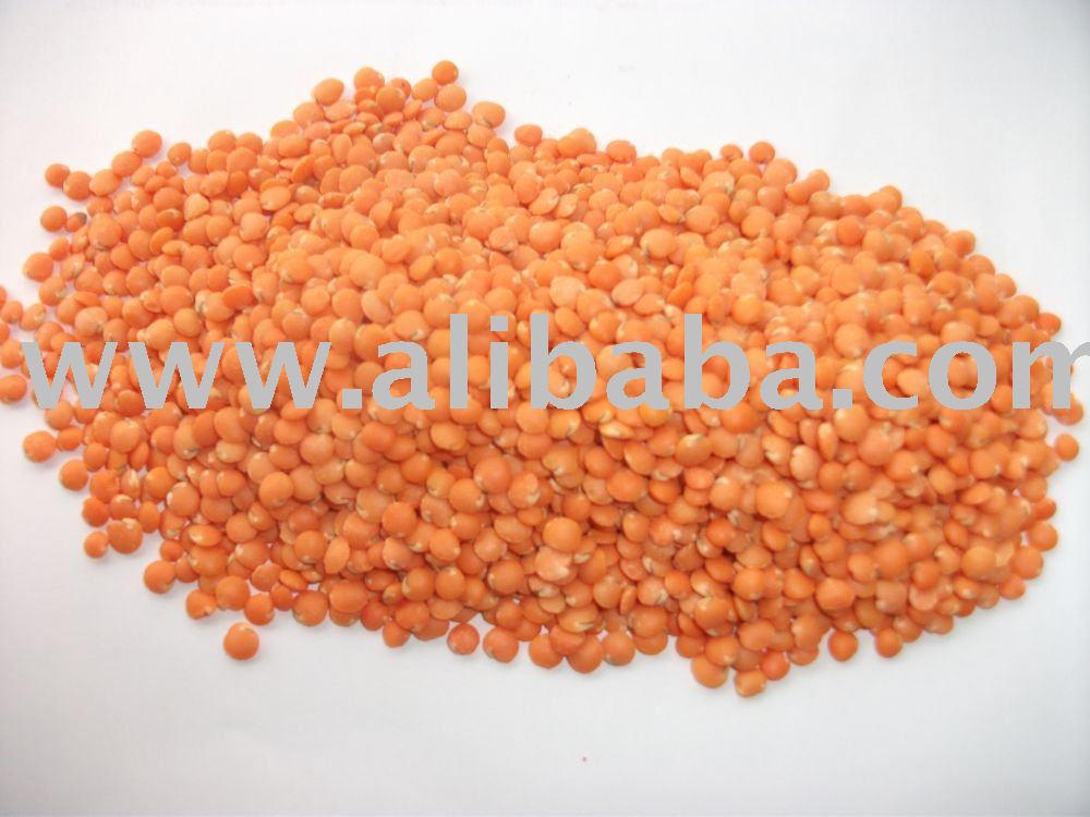 Red Lentils