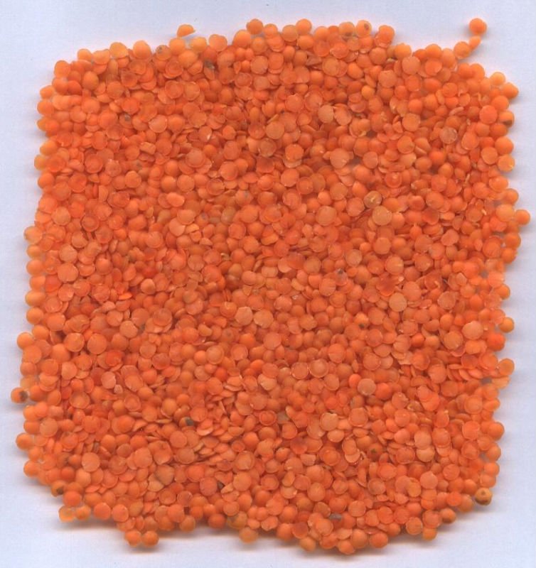 lentils