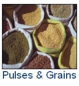  Pulses     Grain s