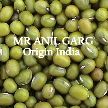 Green Mung Bean