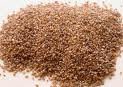 Teff grains available for sale