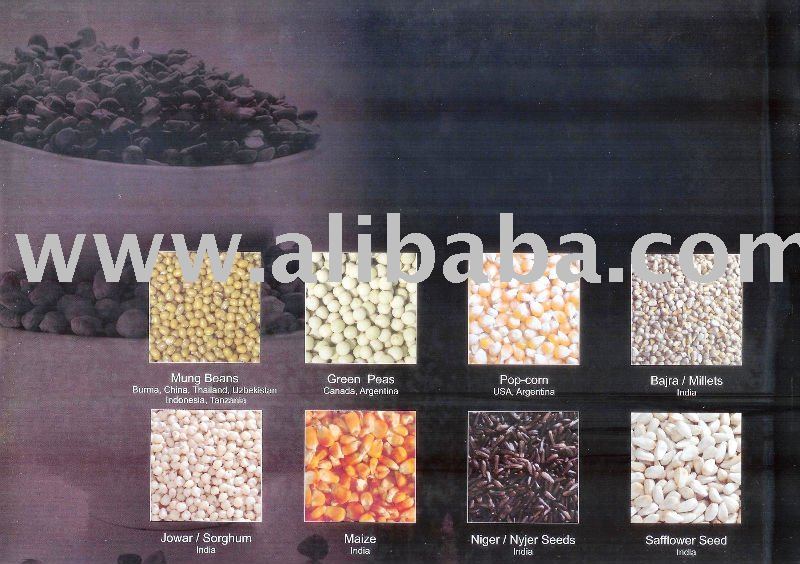 LENTILS & Bird SEEDS