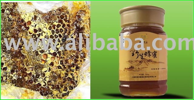 natural  wild   honey 