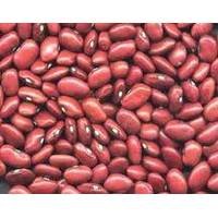 kidney beans,cardamom beans,greem mung beans and lentil