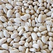 sweet Navy Beans