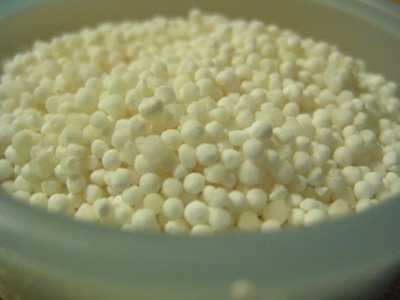 Tapioca Pearls