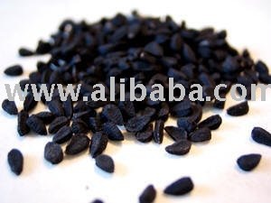 Onion Seeds