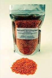 Red Lentils