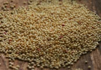  Organic   Amaranth 