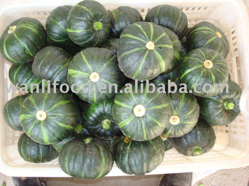 fresh baby pumpkin