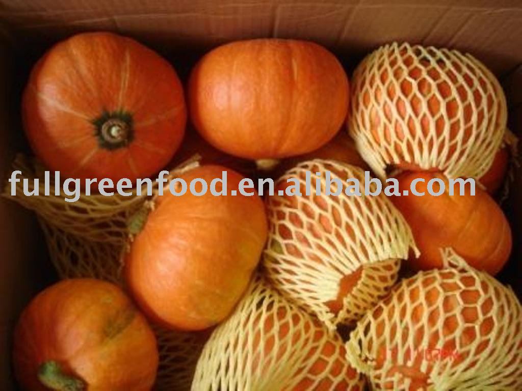 Top Quality Fresh Pumpkin