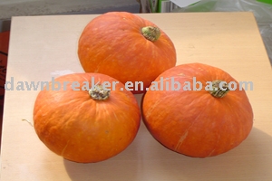 Fresh pumpkin (  pumpkin / Chinese pumpkin )