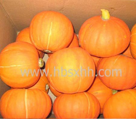 Fresh Pumpkin