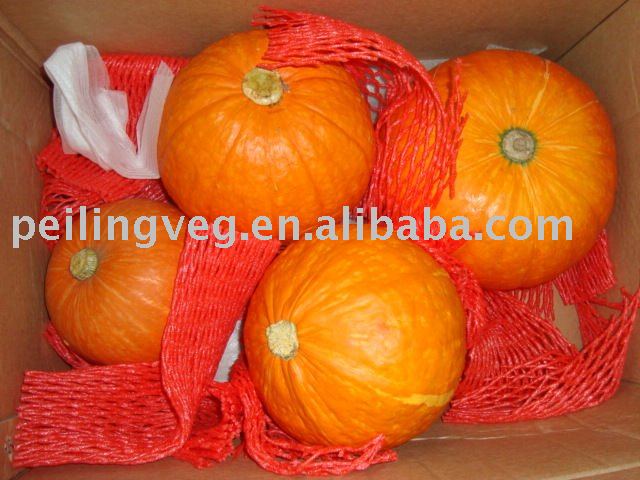 good quality fresh saffron pumpkin