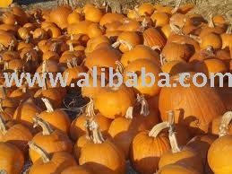 PREMIUM FRESH PUMPKIN  VEGETABLES