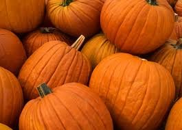 PUMPKIN