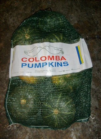 KABOCHA PUMPKIN