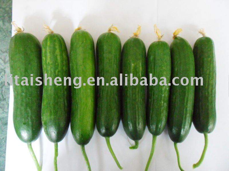 Fruit cucumber