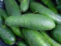 fresh Cucumbers