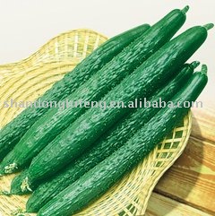 Cucumber