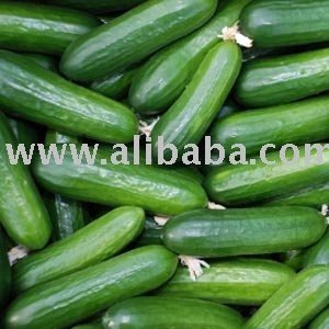 Cucumber