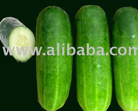  fresh   cucumber   vegetable 