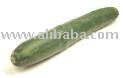 Japanese Cucumber