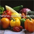 Cucumber