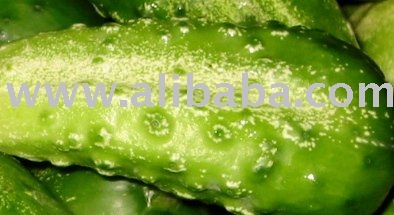 cucumbers