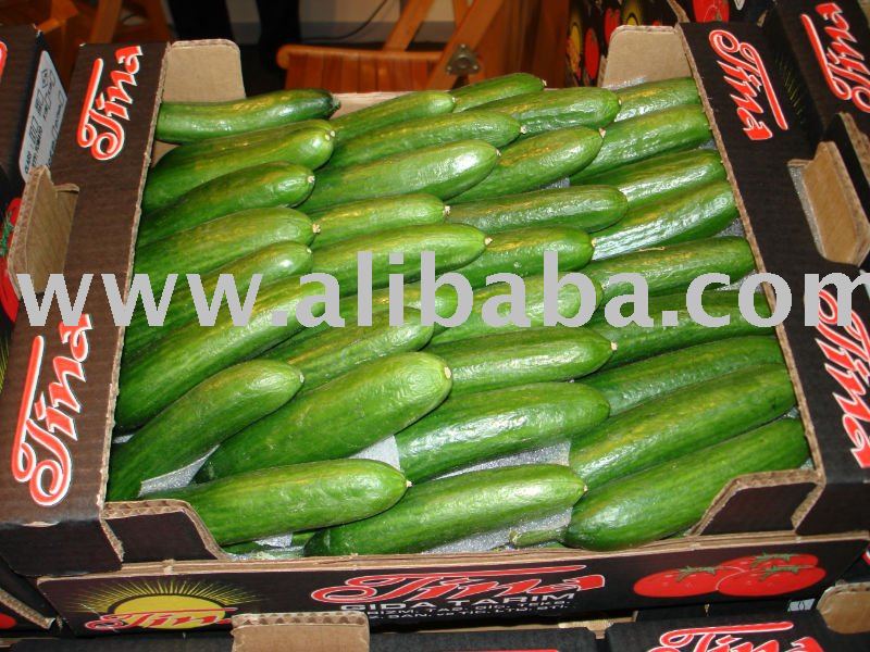 cucumber