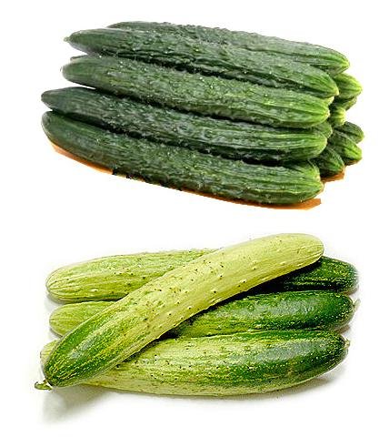 FRESH CUCUMBER