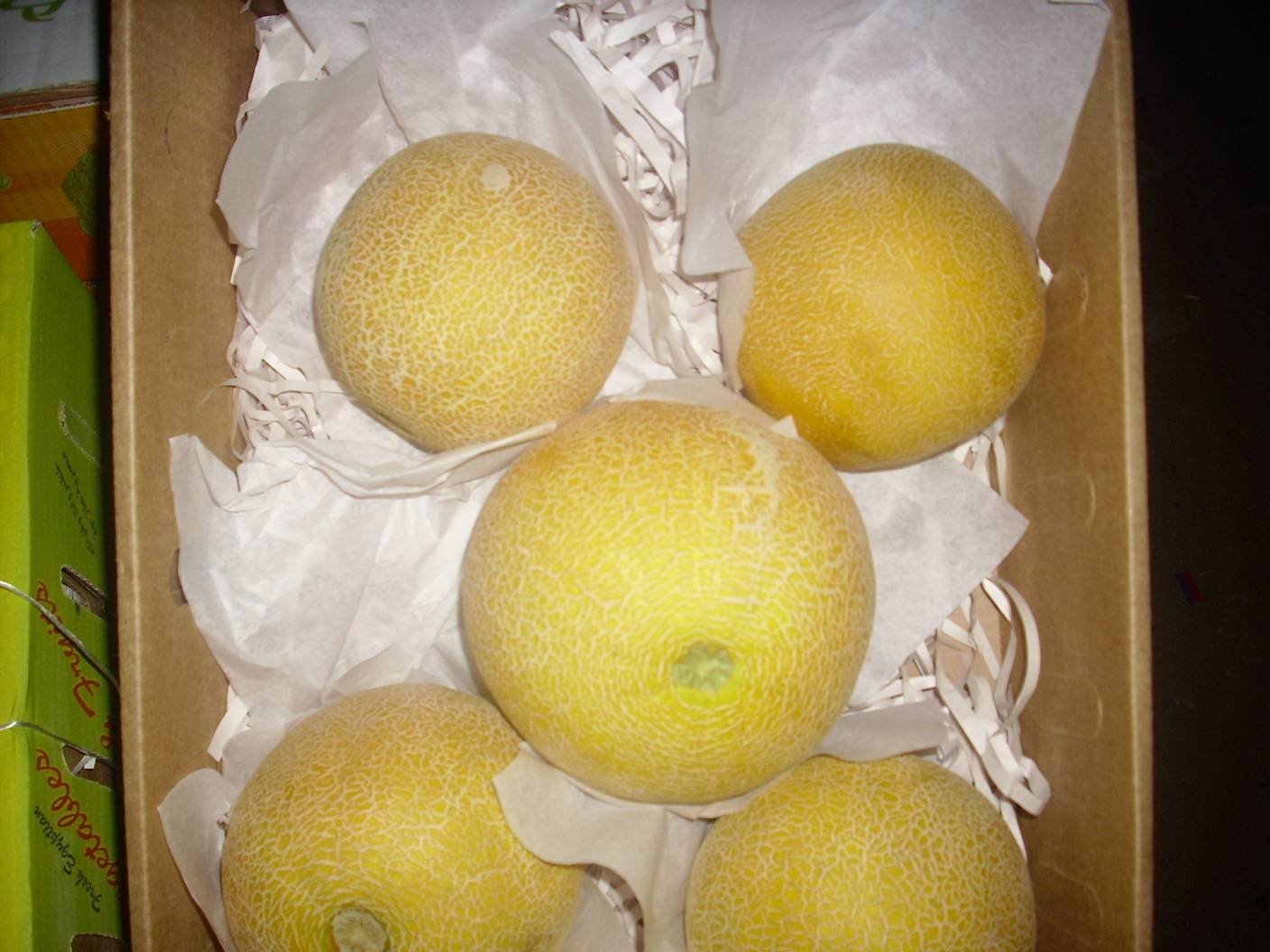 Cantaloup