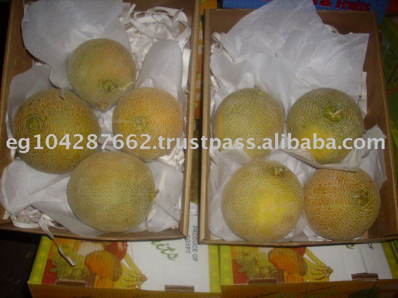 cantaloupe