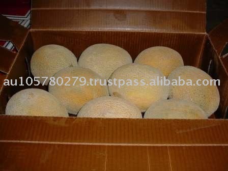 Rockmelons & Honey Dew Melons