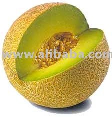  Fresh   Cantaloupe 
