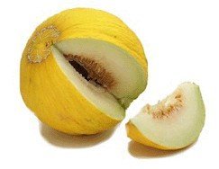 Casaba Melon