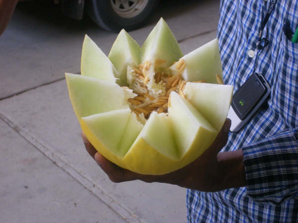 Melon Fresh Fruits Piel De Sapo