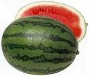 Melon