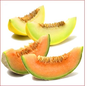 Love Melon