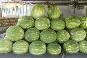 Top Quality,Fresh    Sweet   Melon s For Sale at Affordable Prices