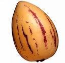 Pepino